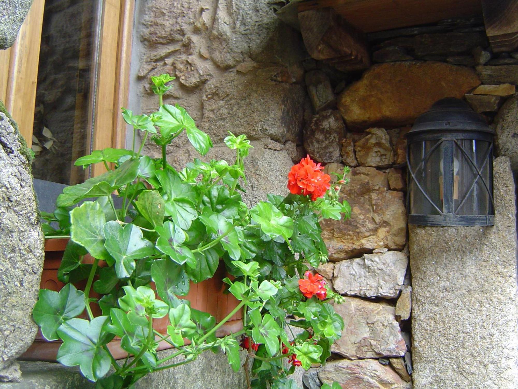 Maison d'hôtes Casa Do Pinto à Arouca Extérieur photo