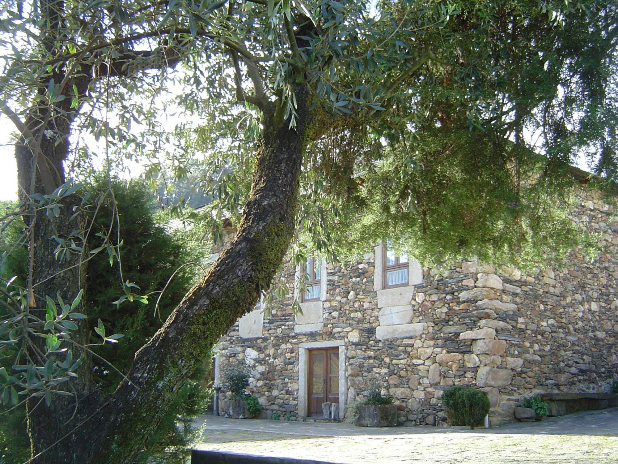 Maison d'hôtes Casa Do Pinto à Arouca Extérieur photo